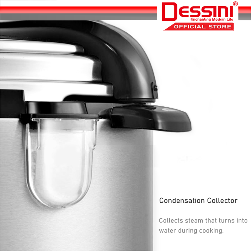 D&S Electric Pressure Cooker EGO-560