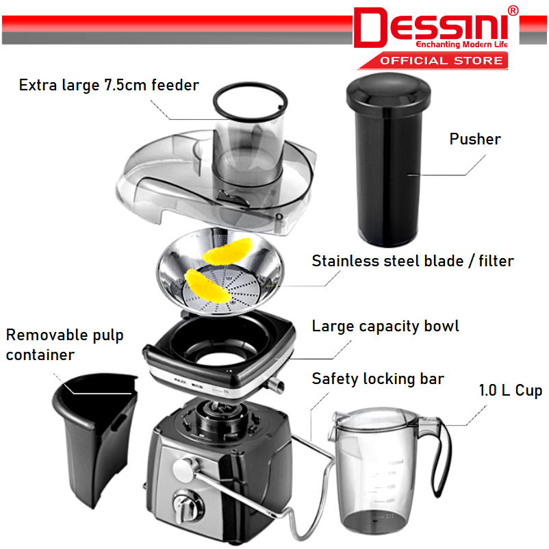 DESSINI ITALY 4 IN 1 Stainless Steel Blender Grinder Chopper Mixer